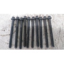 10 Parafusos Do Cabeçote Do Motor 1.6 16v C4 2012