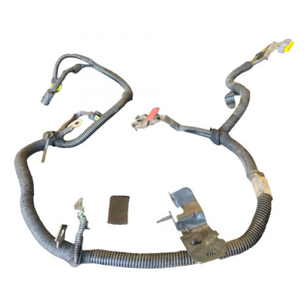 Chicote Polo Positivo Citroen C4 Pallas 2.0 2010