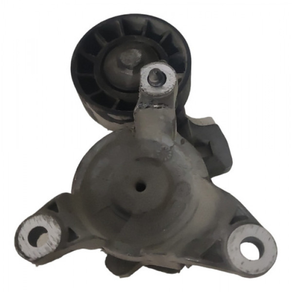 Esticador Corrente Alter/ Motor L/d Citroen C4 Pallas 2010