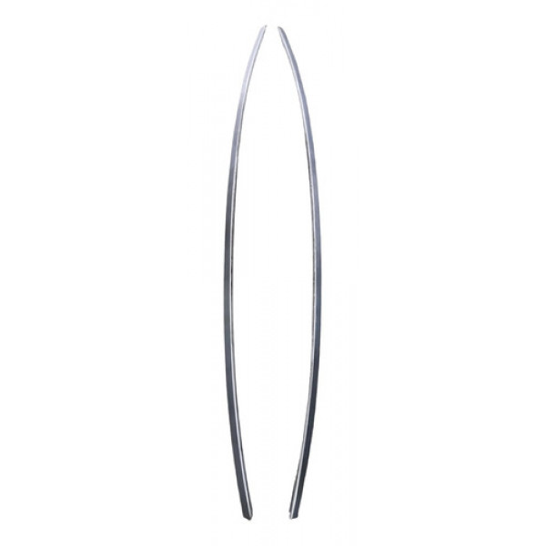 Friso De Teto C4 Pallas Exclusive 2010/11