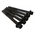 5 Parafuso Cabeçote Nissan Livina Aut 2009/10 1.8 16v