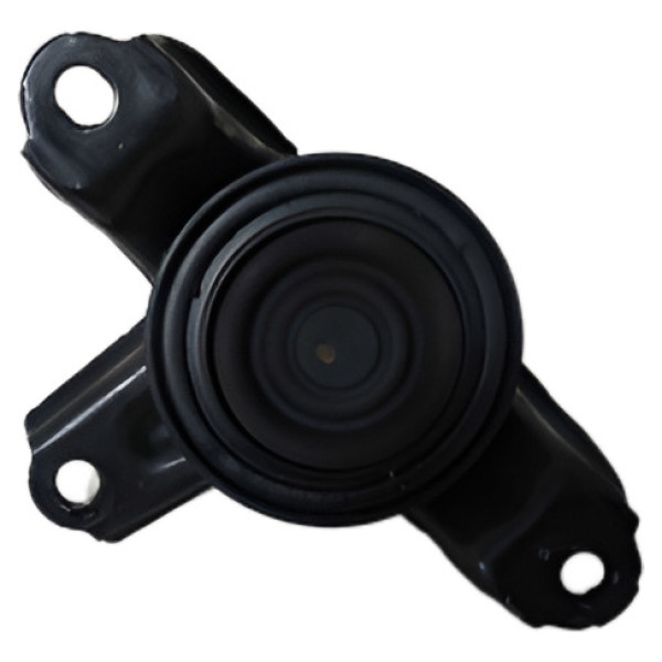 Coxim Lado Direito Hidráulico Hyundai  Hb20  2017 16056