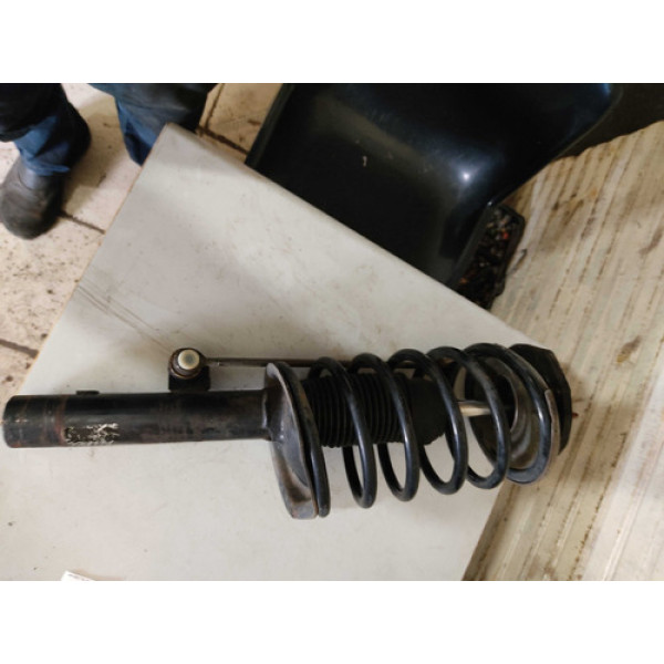 Telescópio Dianteiro Esquerdo Citroen Xsara Picasso 01/06